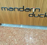 Mandarin Duck - Accommodation ACT