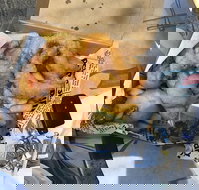 Chef's Catch - Accommodation ACT