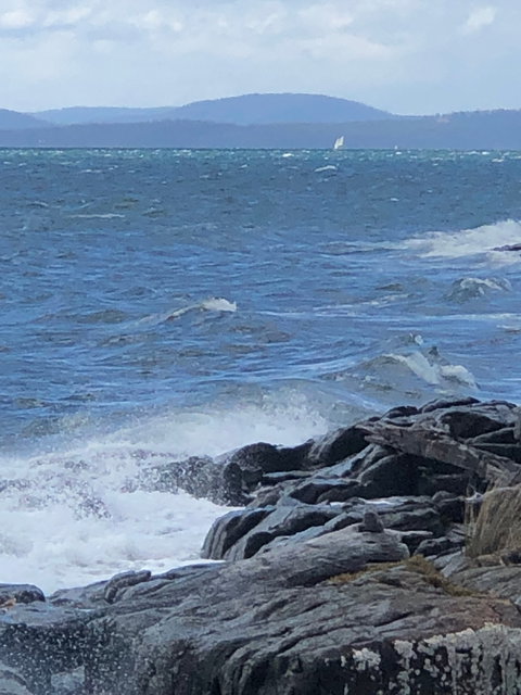 Get Shucked Oyster - Accommodation ACT 2