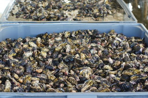 Lease 65 - Accommodation ACT 0