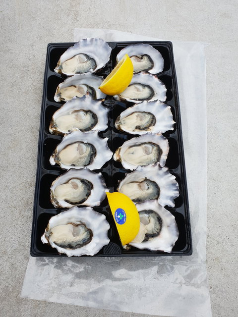 Lease 65 - Accommodation ACT 2