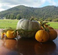 Mount Gnomon Farm - Accommodation ACT