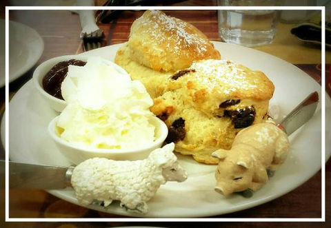 Sticky Beaks Cafe Longford Tasmania - Accommodation ACT 0