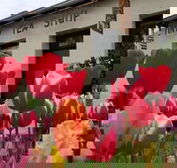 Tiny Tea Shop - Accommodation ACT