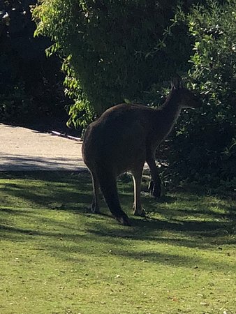 Preston Beach WA Accommodation ACT