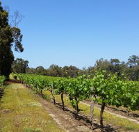 Stringybark Cottage Winery  Restaurant - Accommodation ACT