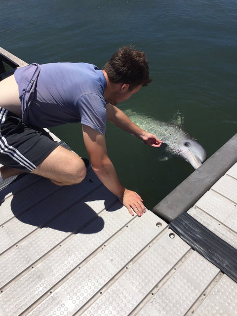 Whyalla Foreshore - Accommodation ACT 2