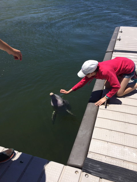 Whyalla Foreshore - Accommodation ACT 4