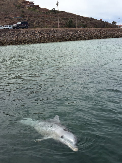 Whyalla Foreshore - Accommodation ACT 5