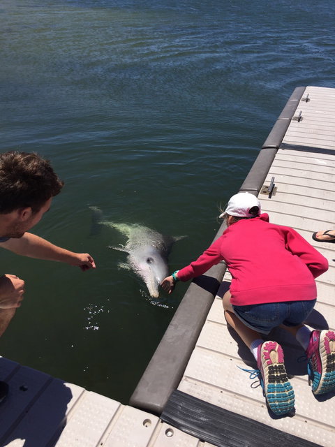 Whyalla Foreshore - Accommodation ACT 7