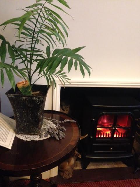 Palm Court Cafe Mannum SA - Accommodation ACT 8