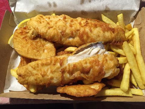 Fish Depot - Accommodation ACT 0