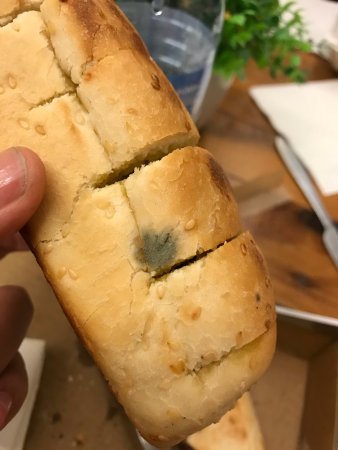 Avo MenU - Accommodation ACT 0