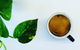 Parade Espresso Bar - thumb 0