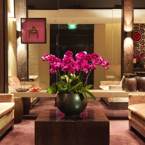 Establishment Hotel - Accommodation ACT 5