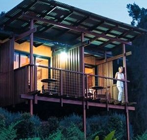 O'Reilly's Rainforest Guesthouse - Accommodation ACT 1