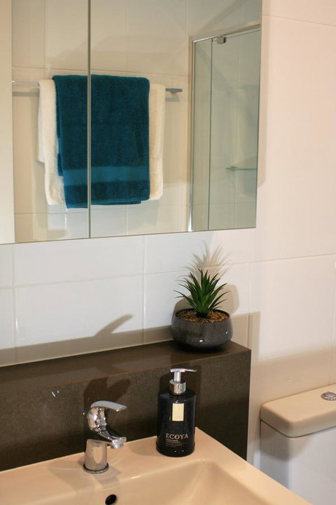 Modern Executive Apt@Barton*1BR*WiFi*Gym*Secure Parking*Canberra - Accommodation ACT 13