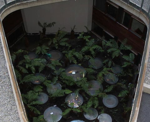 Canberra Luxury Apartment 3 - Accommodation ACT 32