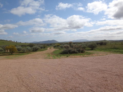 Windana Cottages - Accommodation ACT 37