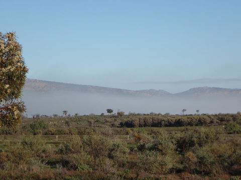 Windana Cottages - Accommodation ACT 44