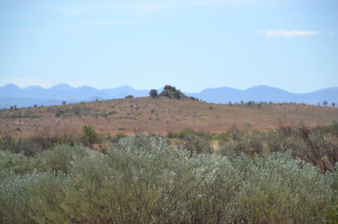Windana Cottages - Accommodation ACT 30