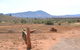 Windana Cottages - thumb 22