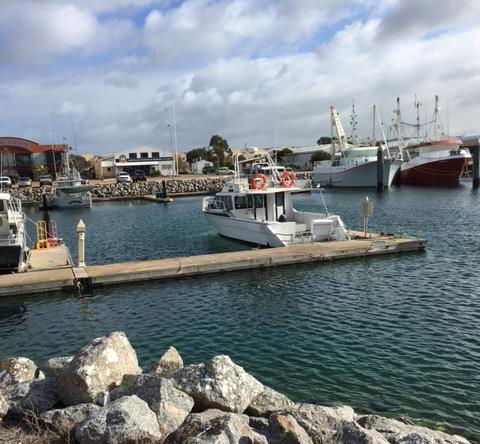 Port Lincoln Shark Apartment 1 - Accommodation ACT 14