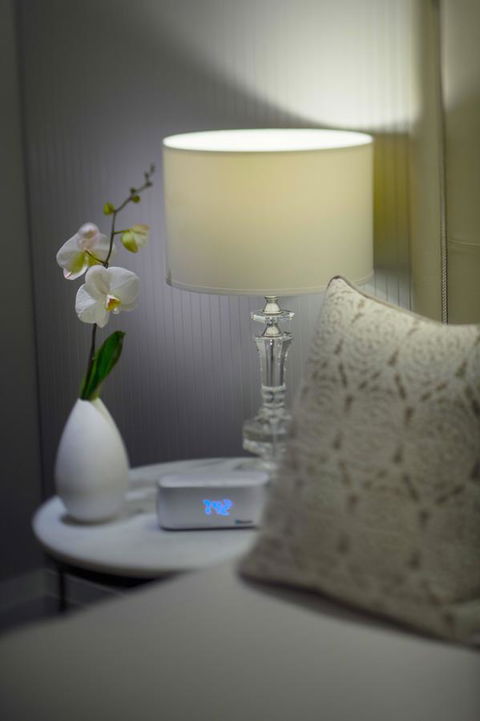 Mayfair Hotel - Accommodation ACT 13