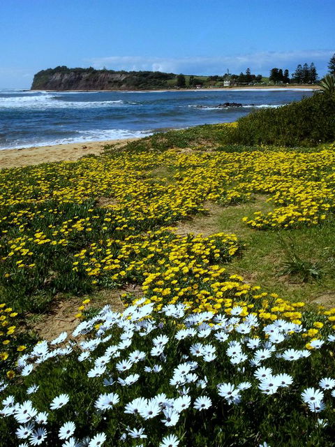 Serenity On Narrabeen Beach - 1Bdr Beachside Retreat - Accommodation ACT 10