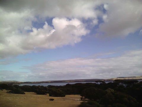 Wallaby Retreat - Accommodation ACT 2