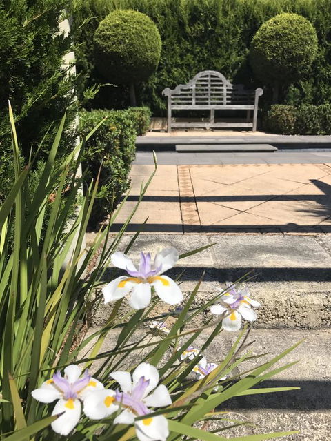 S T U D I O 22 Peaceful Retreat With Garden Views - Accommodation ACT 13