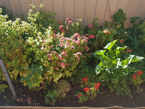 Tanunda\'s Magpie House - Accommodation ACT 24