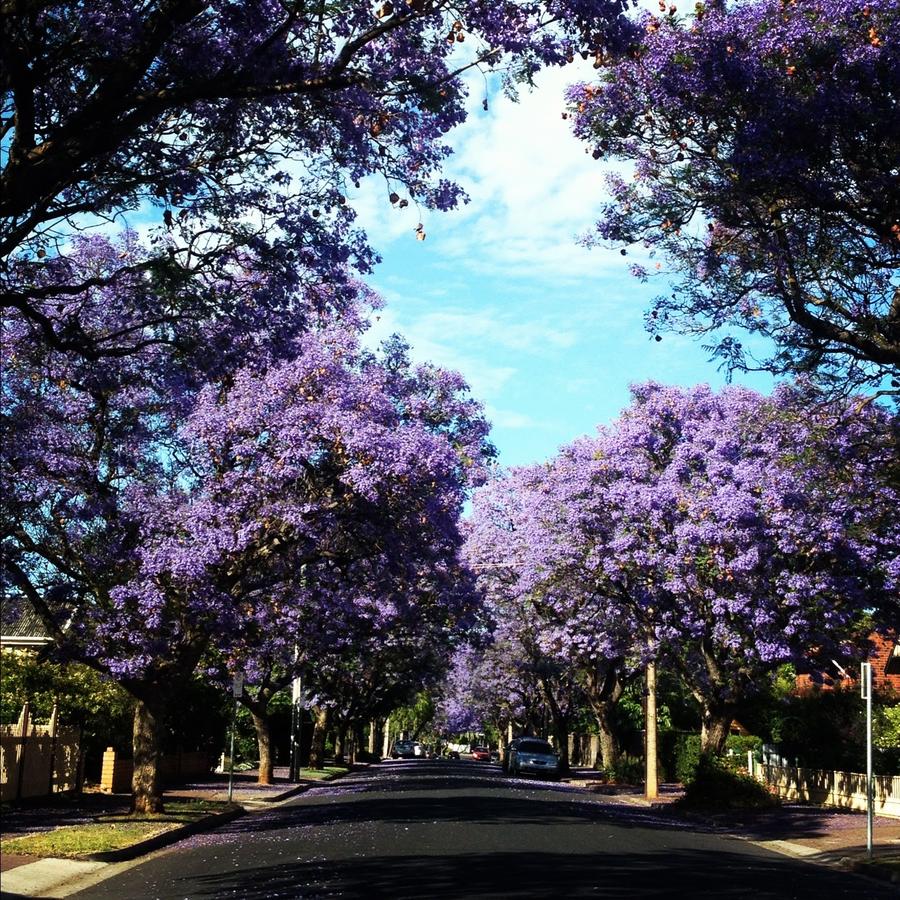Goodwood SA Accommodation ACT