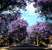 Monaco Court Apartment Adelaide - Accommodation ACT