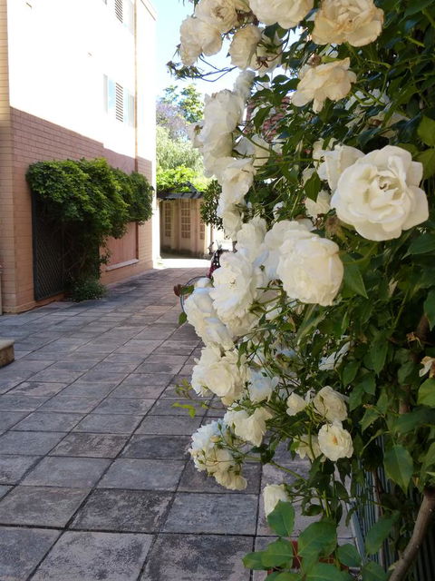 Monaco Court Apartment Adelaide - Accommodation ACT 19