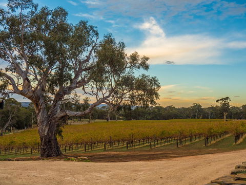 Shadow Creek McLaren Vale - Accommodation ACT 23