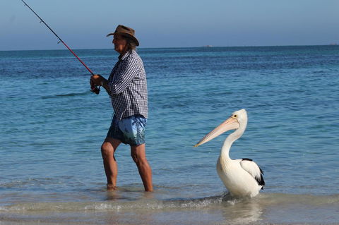 Ceduna Foreshore Caravan Park - Accommodation ACT 21