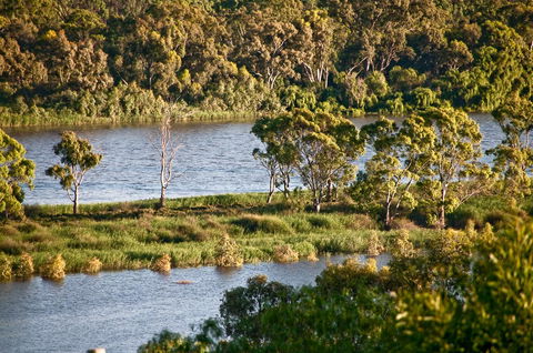 Riverview Rise Retreats - Accommodation ACT 25
