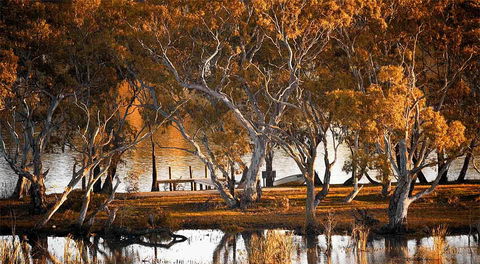 Riverview Rise Retreats - Accommodation ACT 4
