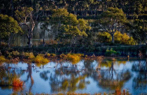 Riverview Rise Retreats - Accommodation ACT 7