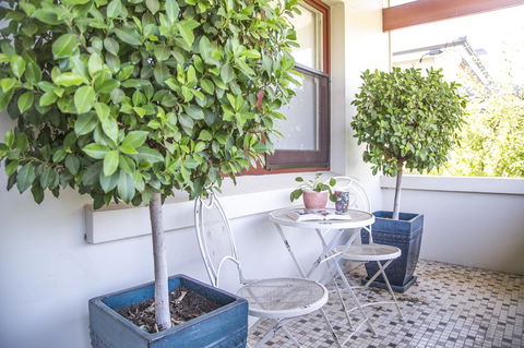Mataro Cottage - Accommodation ACT 2