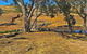 Rabbiters Hut - thumb 22