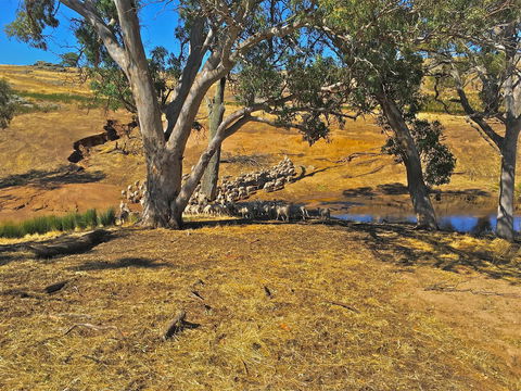 Rabbiters Hut - Accommodation ACT 22