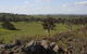 Rabbiters Hut - thumb 28