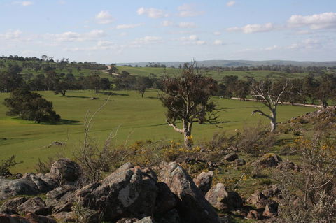 Rabbiters Hut - Accommodation ACT 28