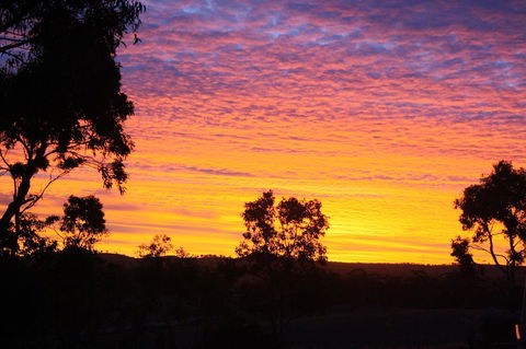 Rabbiters Hut - Accommodation ACT 33