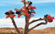 Aussie Opal Diggers Outback Retreat-Undergound - thumb 29