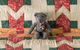 Rezare House Bed & Breakfast - thumb 3