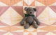 Rezare House Bed & Breakfast - thumb 6