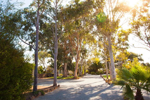 Modra\'s Apartments - Accommodation ACT 0